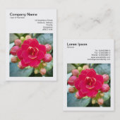 Vierkante foto (v3) - Kalanchoe Visitekaartje (Voorkant / Achterkant)