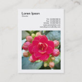 Vierkante foto (v3) - Kalanchoe Visitekaartje (Achterkant)