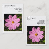 Vierkante foto (v3) - Roze Cosmos Visitekaartje (Voorkant / Achterkant)