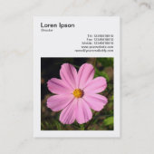 Vierkante foto (v3) - Roze Cosmos Visitekaartje (Achterkant)