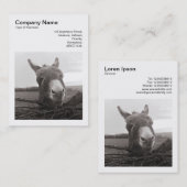 Vierkante foto (v3) - Vriendelijke ezel Visitekaartje (Voorkant / Achterkant)