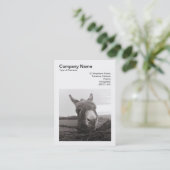 Vierkante foto (v3) - Vriendelijke ezel Visitekaartje (Staand voorkant)