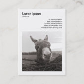 Vierkante foto (v3) - Vriendelijke ezel Visitekaartje (Achterkant)
