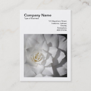 Vierkante foto (v3) - Witte Camellia Visitekaartje