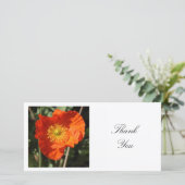 Vierkante foto - Welsche papaver Bedankkaart (Staand voorkant)