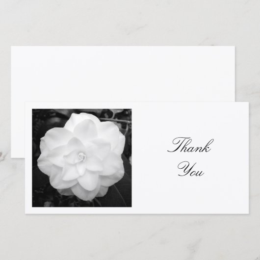 Vierkante foto - White Camellia Bedankkaart (Voorkant / Achterkant)