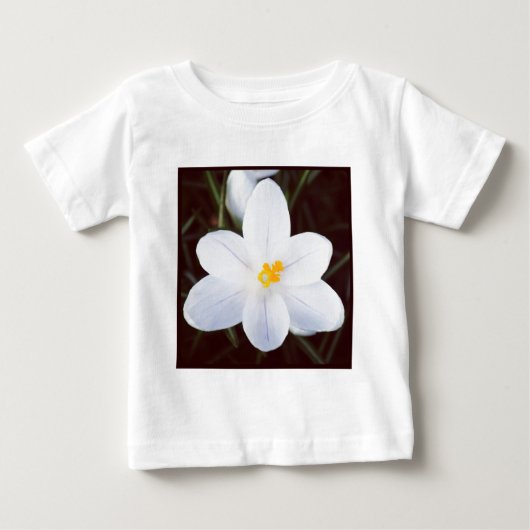 Vierkante foto - White Crocus (Voorkant)