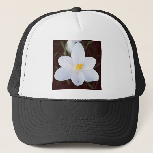 Vierkante foto - White Crocus Trucker Pet (Voorkant)