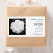 Vierkante foto - Witte Camelia Etiket (Insitu)