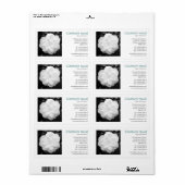 Vierkante foto - Witte Camelia Etiket (Full Sheet)