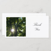 Vierkante foto - Zon door de bomen Bedankkaart (Voorkant / Achterkant)