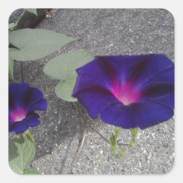 Vierkante Glanzende Bloemen Sticker