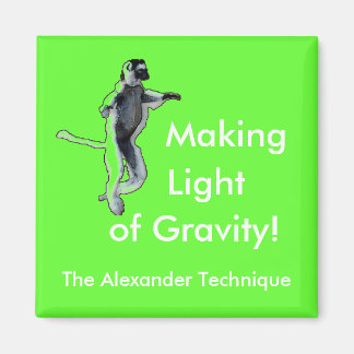 Vierkante groene magneet 2