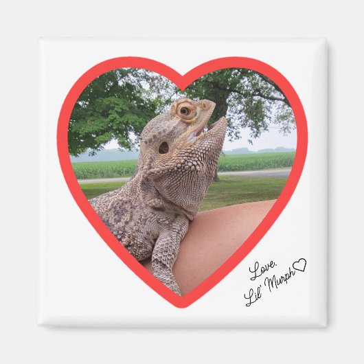 Vierkante Hagedis Liefde Magneet (Voorkant)