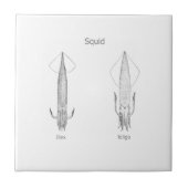 Vierkante Logo (lijnkunst) Tegeltje (Voorkant)