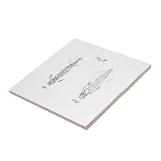 Vierkante Logo (lijnkunst) Tegeltje (Zijkant)