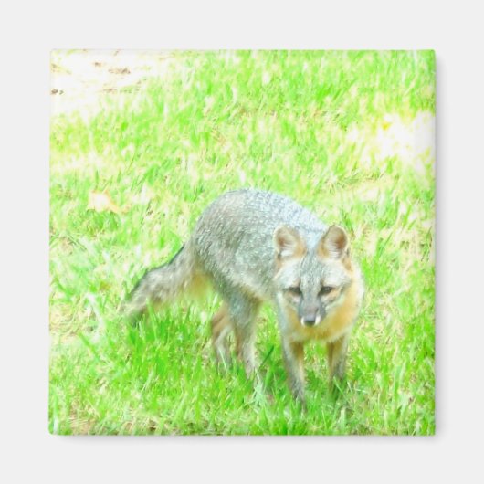 Vierkante magneet - Gepersonaliseerd (Voorkant)