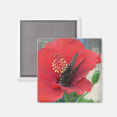 Vierkante magneet met Vlinder op rode bloem (Voorkant / Achterkant)