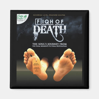 Vierkante magneet - Vis van de Dood