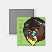 VIERKANTE MANDRILL MAGNEET (Voorkant / Achterkant)