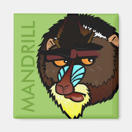 VIERKANTE MANDRILL MAGNEET (Voorkant)