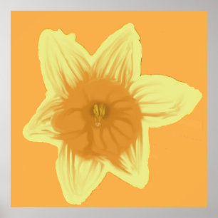Vierkante narcis Poster