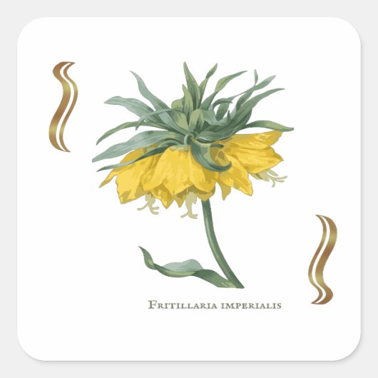 Vierkante sticker Fritillaria imperialis (Voorkant)