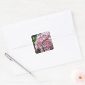 Vierkante sticker met roze en witte berglaurier (Envelop)
