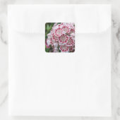 Vierkante sticker met roze en witte mountain laure (Tas)