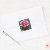 Vierkante sticker met waterLily Design (Envelop)