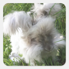 Vierkante Stickers - Engels Angora Rabbit "Bradley