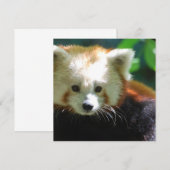 Vierkante uitnodiging - Gepersonaliseerd (Voorkant / Achterkant)