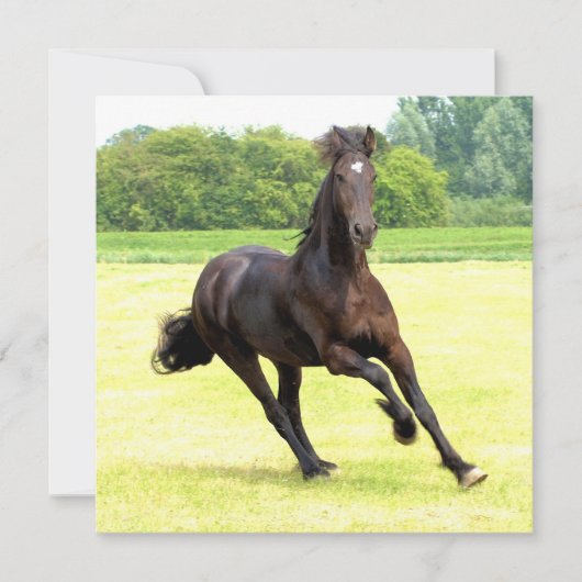 Vierkante uitnodiging - Gepersonaliseerd (Voorkant)