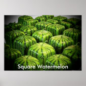 Vierkante Watermeloen Print (Voorkant)