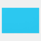 Vierkantjes voor lichte en donkere pacock-kleuren inpakpapier vel (Voorkant 2)