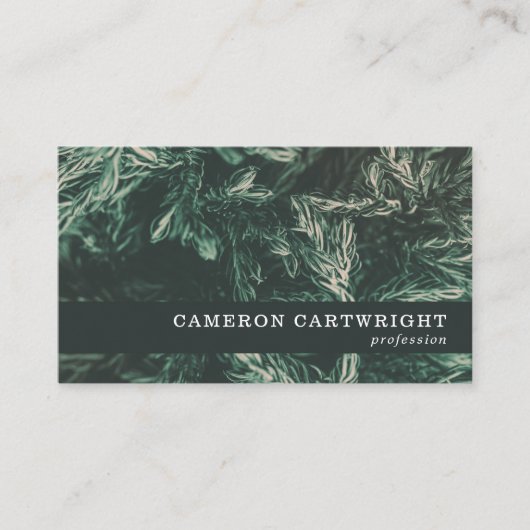 Viernaalden Visitekaartje (Voorkant)