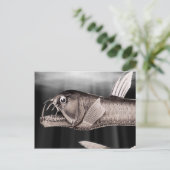 Viervis Briefkaarten (Staand voorkant)