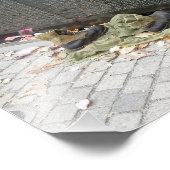 Viet Nam Memorial Wall Foto Afdruk (Hoek)