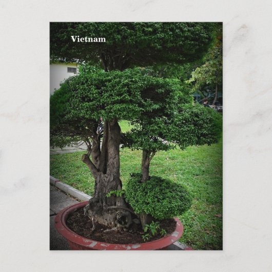 Vietnam Azië Straatfotografie Feestdagenkaart (Voorkant)