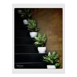 Vietnam Azië Straatfotografie Perfect Poster