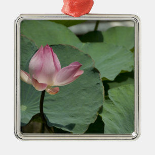 Vietnam, bij Saigon) Mijn Tho. Vinh Trang 2 Metalen Ornament