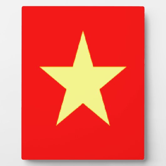 vietnam fotoplaat (Voorkant)