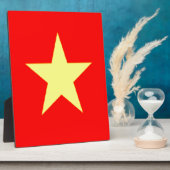 vietnam fotoplaat (Zijkant)