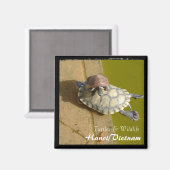 Vietnam, Hanoi, Turtles (Magnet) Magneet (Voorkant / Achterkant)