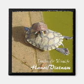 Vietnam, Hanoi, Turtles (Magnet) Magneet (Voorkant)