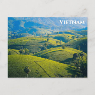 Vietnam Long Coc Tea Hills Travel Foto Briefkaart