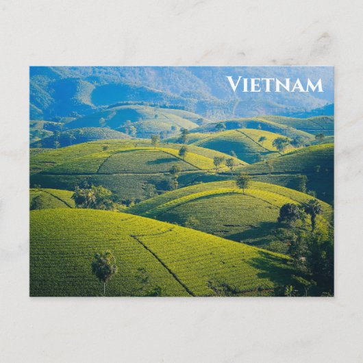 Vietnam Long Coc Tea Hills Travel Foto Briefkaart (Voorkant)