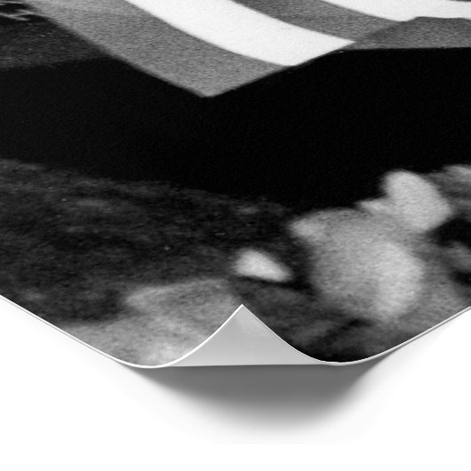 Vietnam Memorial Flag Poster (Hoek)