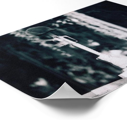 vietnam memorial savannah print (Hoek)