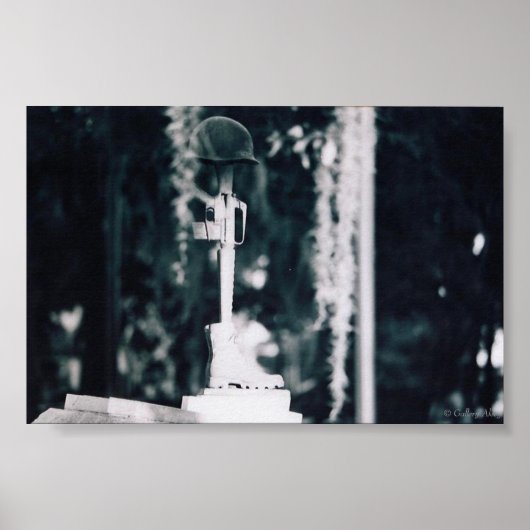 vietnam memorial savannah print (Voorkant)